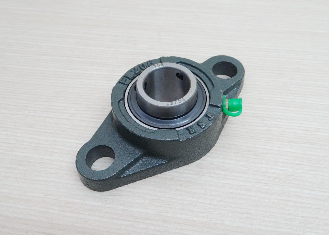 UCFL205 Flange Bearing Unit 25mm Cast Iron Housing Self-aligning