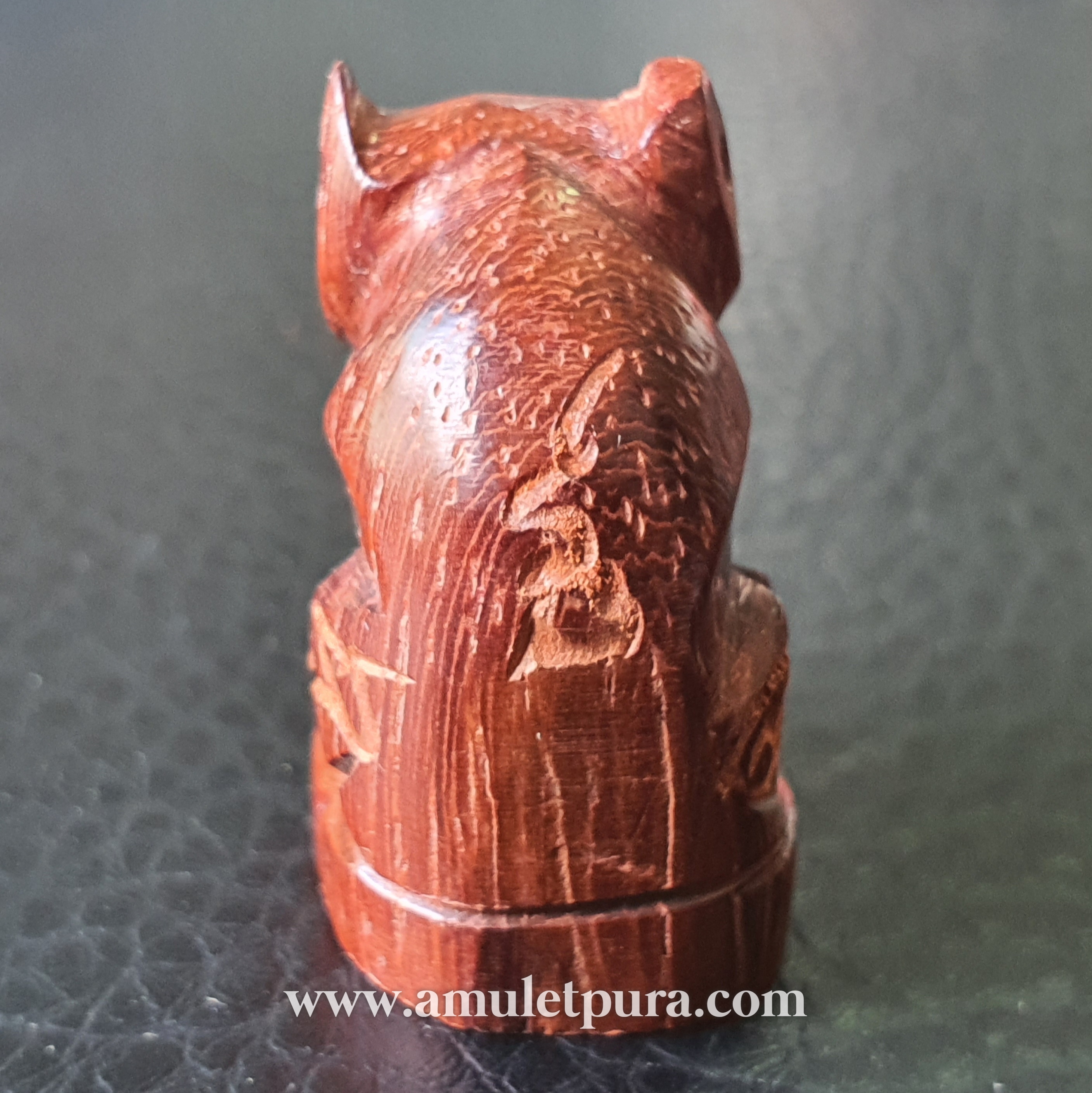 เสือพยุงแกะอุดกริ่ง พิมพ์จัมโบ้ (อ้าปาก) จารครบสูตร รุ่นไตรมาส ปี44 หลวงพ่อเปิ่น วัดบางพระ จ.นครปฐม (ทันหลวงพ่อ)