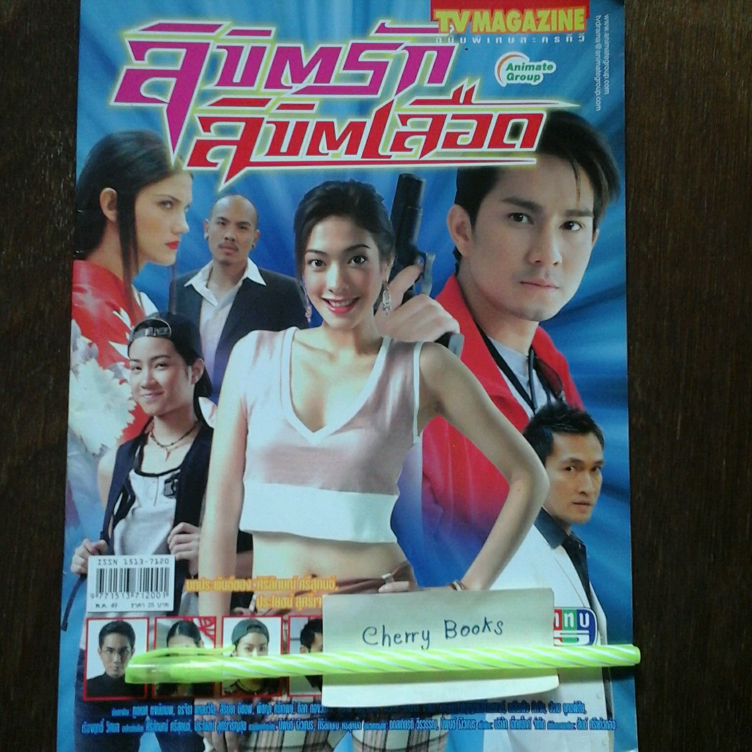 หนังสือเรื่องย่อละคร ลิขิตรักลิขิตเลือด
