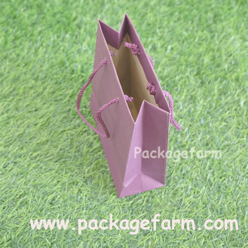 ถุงกระดาษสีเบอร์ 10 ขนาด 5" x 6" x 2"