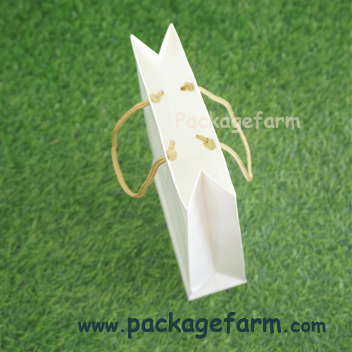 ถุงกระดาษอาร์ตขาว เบอร์ 8 ขนาด 6" x 9" x 2"1/4