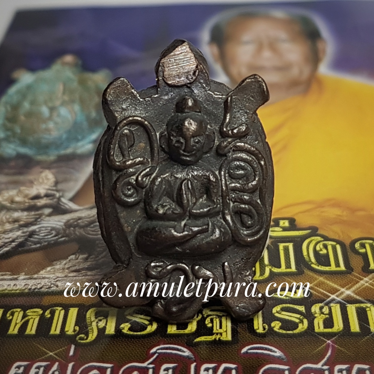 พญาเต่ากัสโป หลวงพ่อสนิท วัดพุทธานุภาพ จ.ปราจีนบุรี