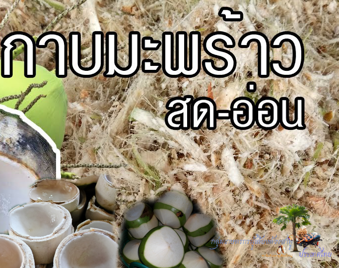 เปลือกมะพร้าวสดบดย่อย