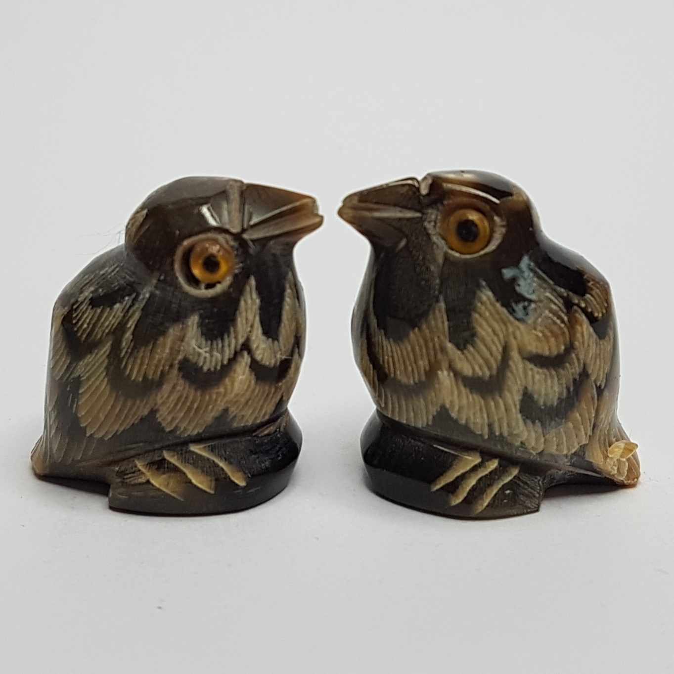 นกคุ้มเขาควายแกะ หลวงปู่ปัญญา วัดหนองผักหนาม จ.ชลบุรี