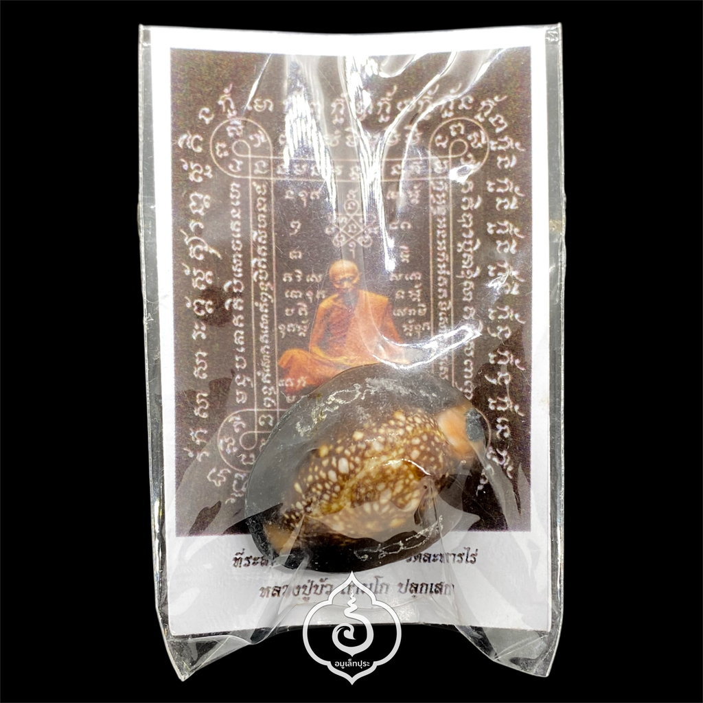 เบี้ยแก้พรายปรอท พิธี 9 ฤกษ์ 9 มงคล ครบ 200 ปี ปี54 วัดละหารไร่ จ.ระยอง จัดสร้างโดย มูลนิธิหลวงปู่ทิม (อุดผงพรายกุมารคลุกรักชันโรง หลวงปู่ทิม วัดละหารไร่ พร้อมแผ่นตะกั่ว จารมือ ตอกโค้ด หมายเลข 440) หลวงปู่บัว,หลวงปู่คำบุ,หลวงพ่อสิน ปลุกเสก