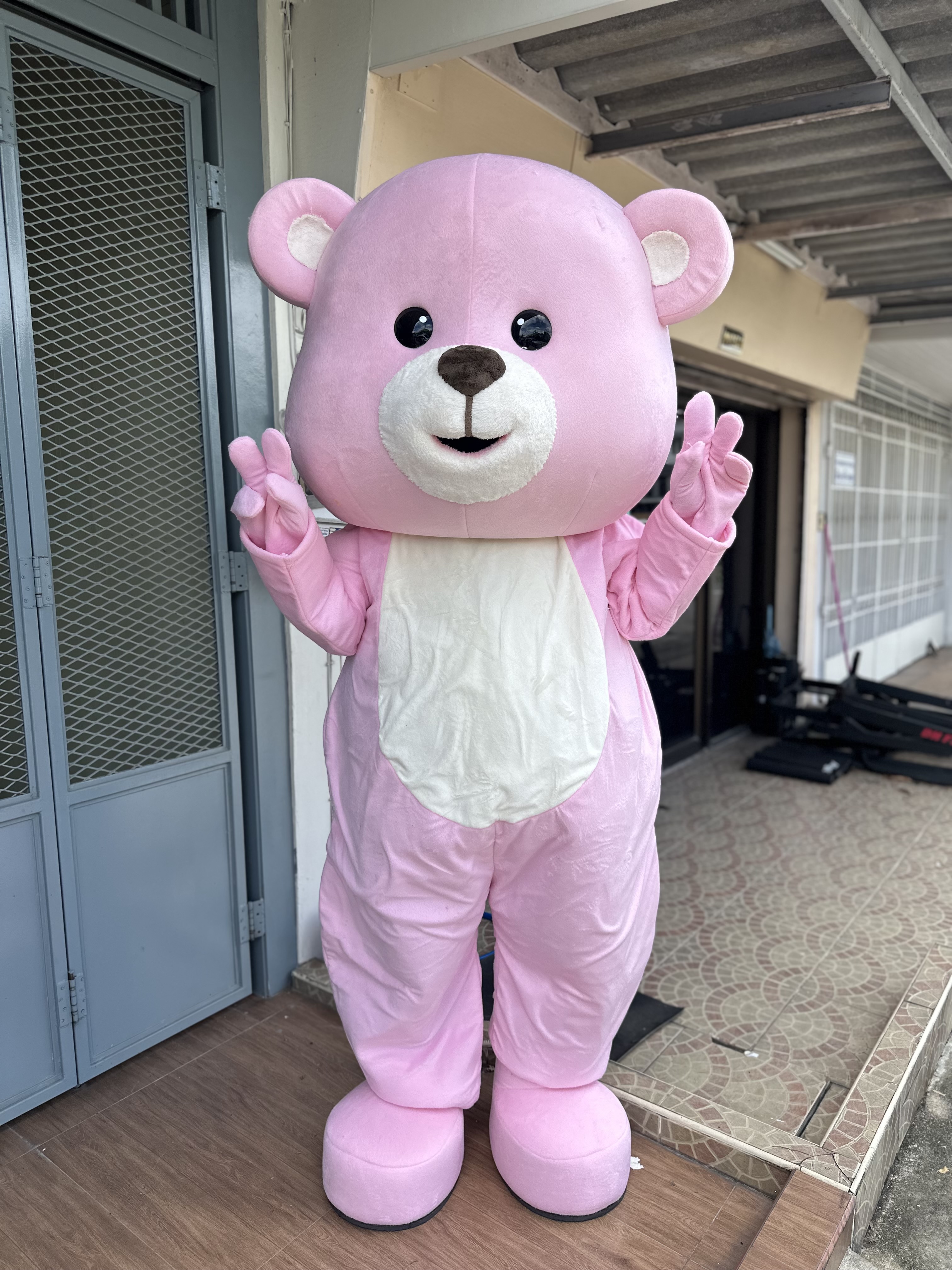 หมีชมพู