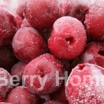 เชอร์รี่แดงแช่แข็ง / Red Cherry 1 กก.