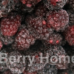 แบล๊คเบอร์รี่แช่แข็ง / Blackberry (1 กก.)