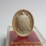 พญาเต่า รุ่นคุ้มภัย หลวงพ่อคิ้ม วัดหนองเสือยางประสาท จ.ราชบุรี