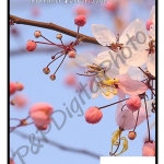 รูปภาพกรอบลอยราคาถูก ขนาด 12x18