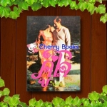 คู่ใจ (เล่มเดียวจบ) / นลิน บุษกร