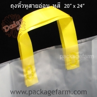20" x 24" หูสีเหลือง
