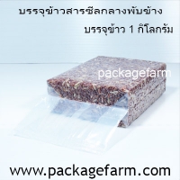 แวคคั่ม 5" x 12"1/2 ข้าง 2"