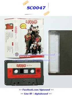 ม้วนเทป นกแล อัลบั้ม ช้าง