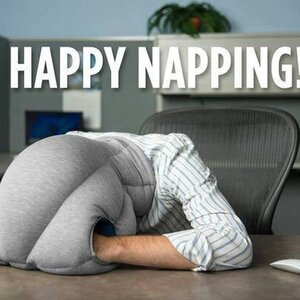 หมอนนกกระจอกเทศ