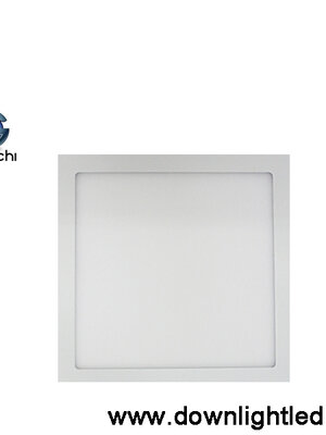 ดาวน์ไลท์ LED IWACHI 24w (12 นิ้ว) แสงขาว