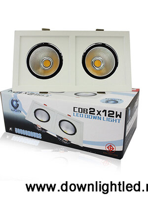 ดาวน์ไลท์ LED IWACHI 2x12w (แสงส้ม)