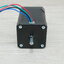 OUKEDA-Dual shaft (NEMA17) Stepper Motor แรงบิด 56 N.cm 1.7A (OK42STH60-1704B)