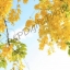 อัดรูปออนไลน์ ล้างรูปราคาถูก ขนาดอัดรูป A4
