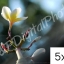 อัดรูปออนไลน์ ล้างรูปราคาถูก ขนาดอัดรูป 5x7 + อัลบั้มรูป