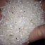 ปลายข้าว (Rice broken)