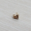0.4mm Brass Nozzle Thread Length 5mm For 1.75mm filament