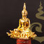 หลวงพ่อพระใส (เนื้อกะไหล่ทอง) รุ่นแผ่บารมี (รุ่นฟ้าผ่า) ปี58 วัดโพธิ์ชัย จ.หนองคาย (มีโค้ดรูปพญานาคใต้ฐาน)