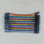 10cm Cable jumper 40P Male-Male (ผู้-ผู้)