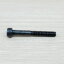 สกรูหัวจมดำ Screw M5 ยาว 40mm (20ตัว/ถุง)