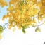อัดรูปออนไลน์ ล้างรูปราคาถูก ขนาดอัดรูป A4