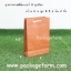 ถุงกระดาษสีเบอร์ 8 ขนาด 6" x 8"1/2 x 2"