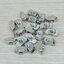 Free Nut M5 (20 ตัว/ชุด) สำหรับ Series 30 Alu Profile