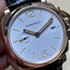 PAM1336 VSF