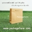 ถุงกระดาษน้ำตาล หูเชือกทอง เบอร์ 10 ขนาด 5" x 6" x 2"
