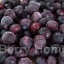 บลูเบอร์รี่แช่แข็ง (ลูกใหญ่) / Blueberry (1 กก.)